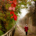 2013-10-20_Pavia_Oasi_S.Alessio_